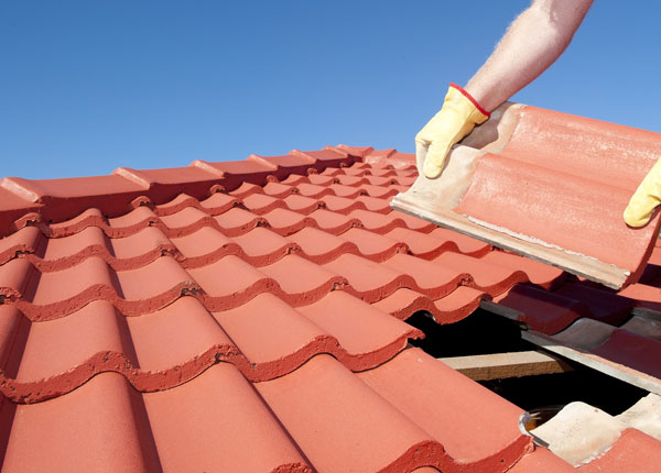 About Bee NE Roofers
